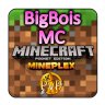 BigBoisMC(Official)